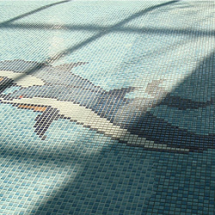 Swimming Pools